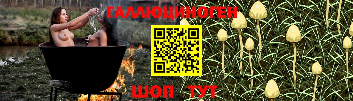 Ярославль  Галлюциногенные грибы Cubensis  Вход с VPN 
